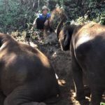 Hike with Elephants in Thailand