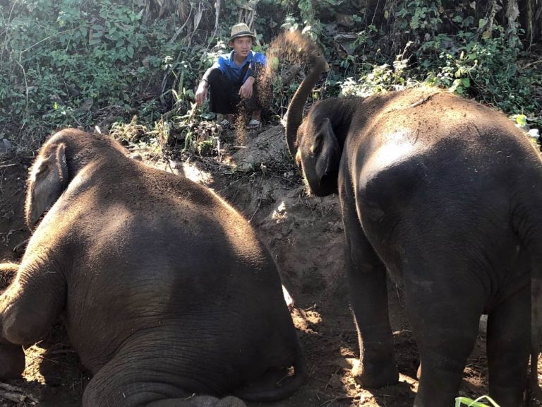 Hike with Elephants in Thailand