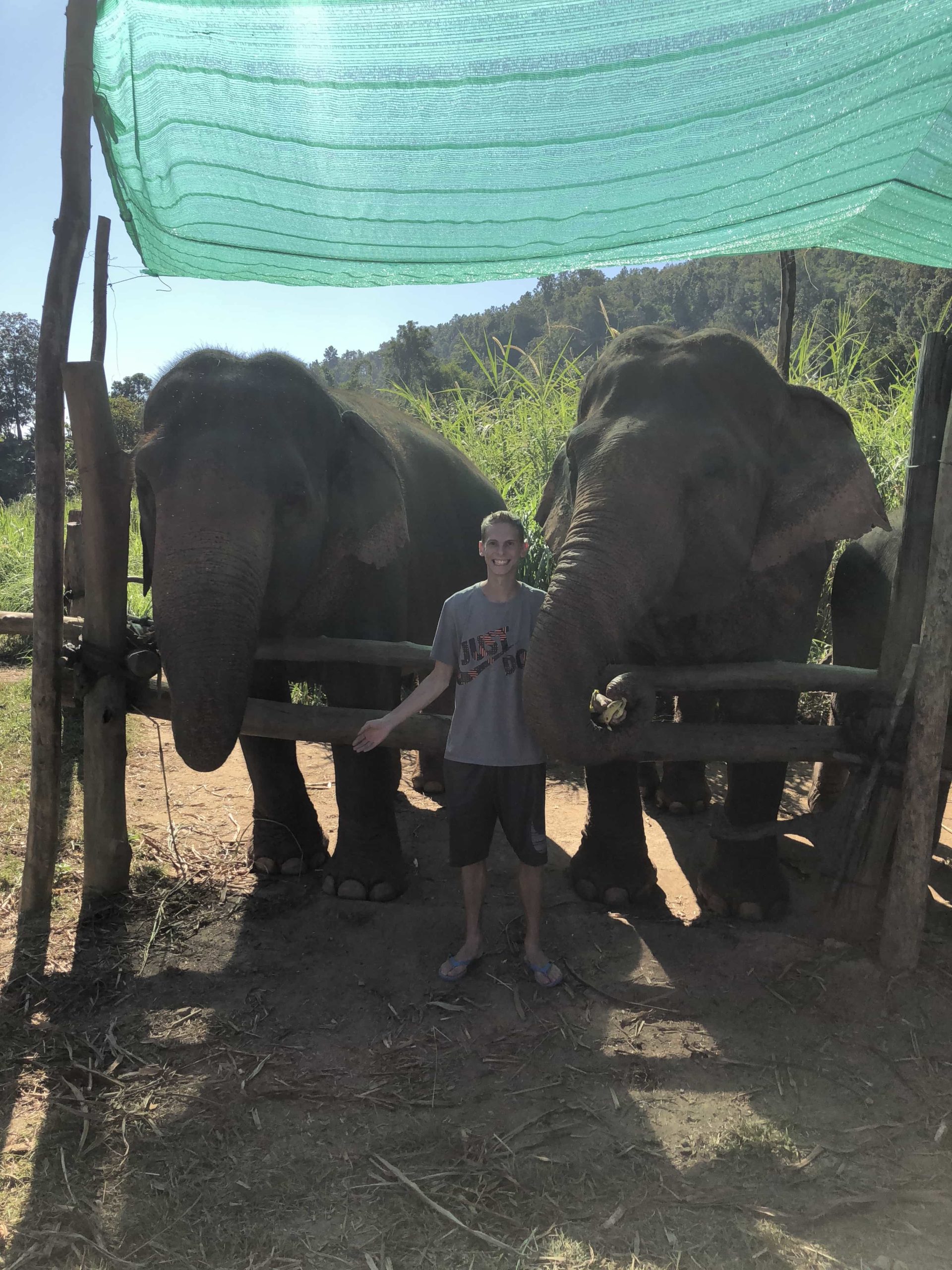 Hike with elephants in Thailand entrance