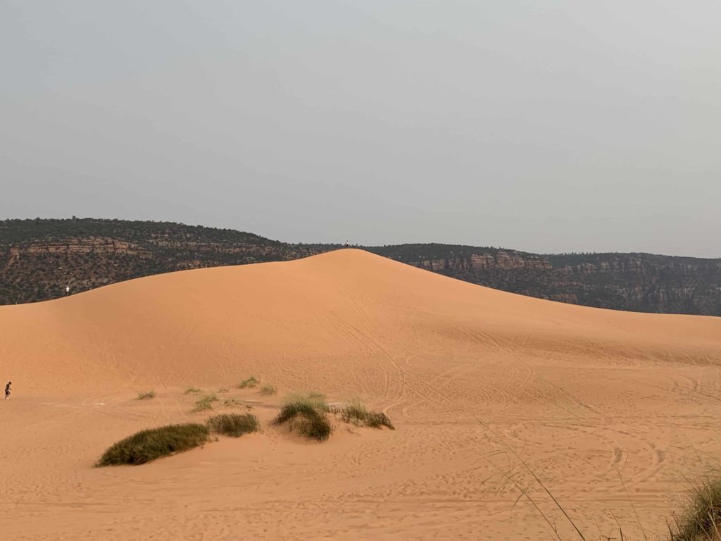 Southern Utah Road Trip - Pink Coral Sand Dunes State Park