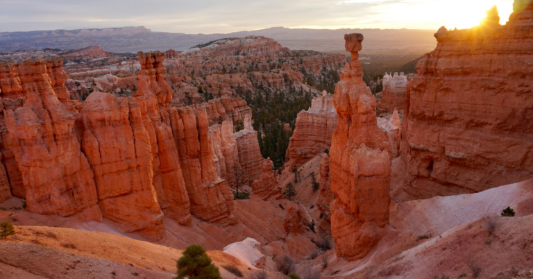 Hoodoo at Bryce Canyon National Park