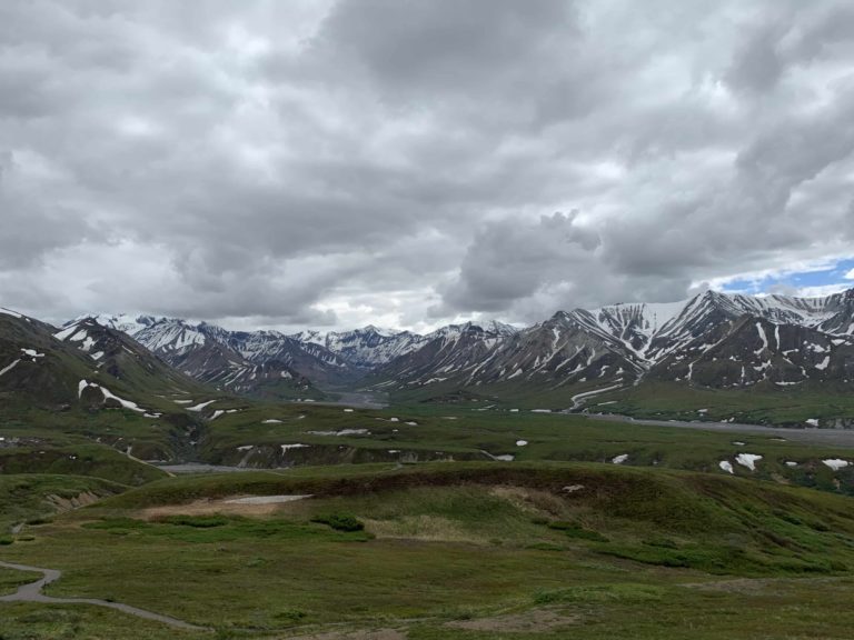 Camping in Denali National Park Entrance