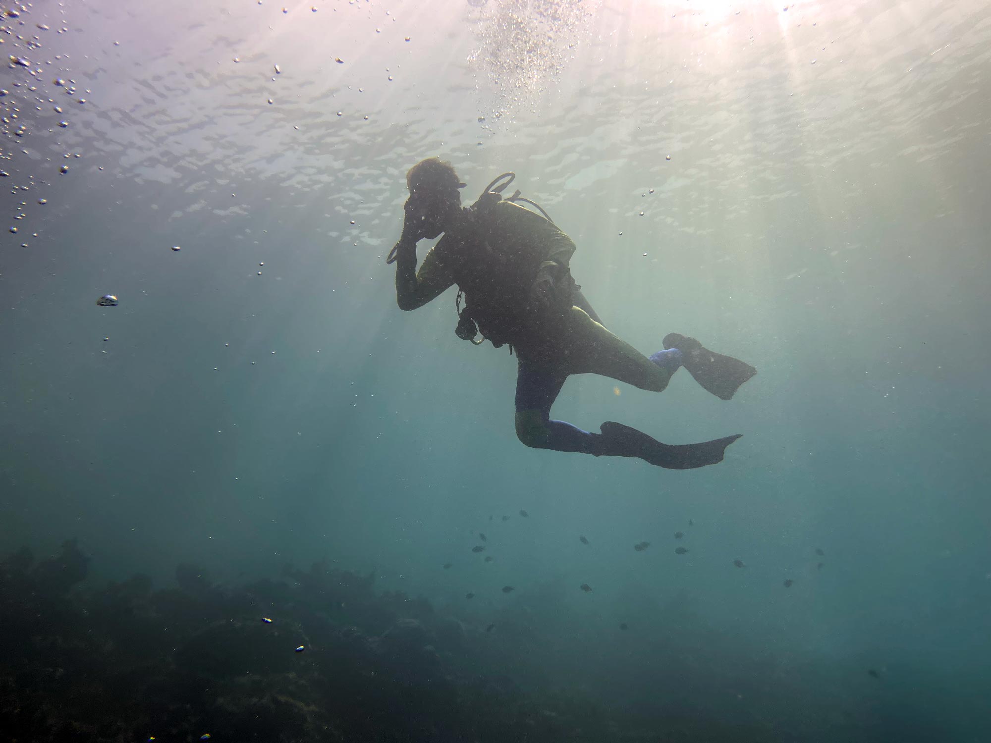 Maldives Trip Cost Scuba Diving