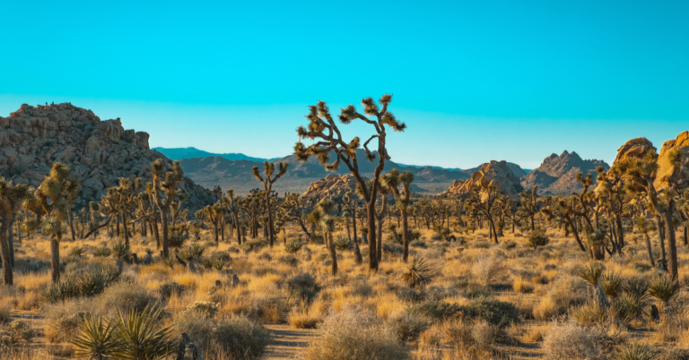 National Parks to Visit this Winter FI