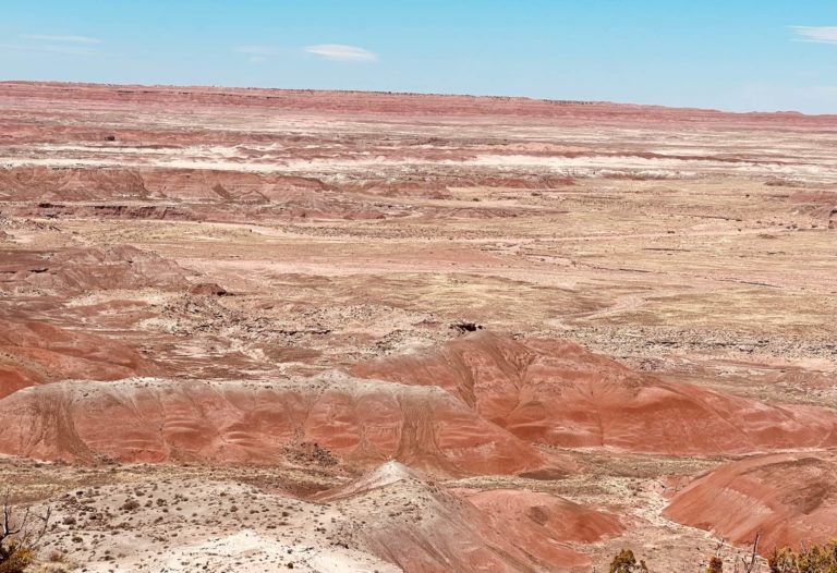 2022 Guide to Camping in Petrified Forest National Park