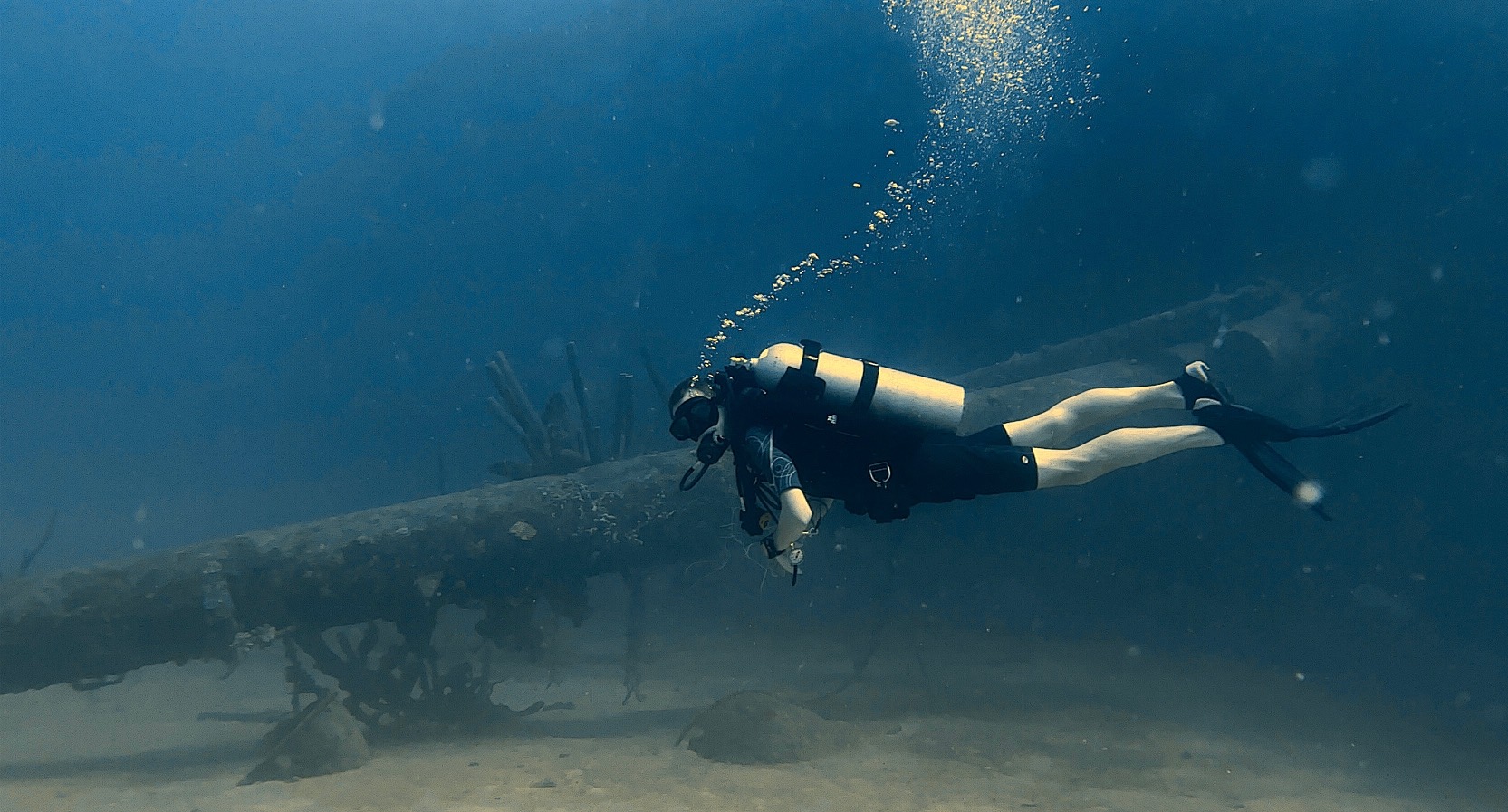 Scuba Diving in Bonaire (Hilma Hooker)