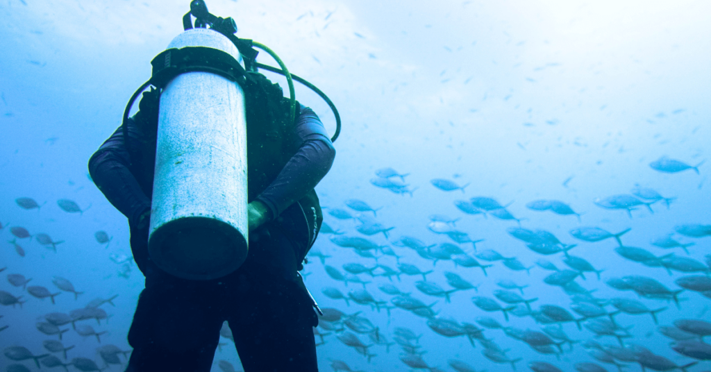 Scuba diving in Bonaire surrounded by a school of fish