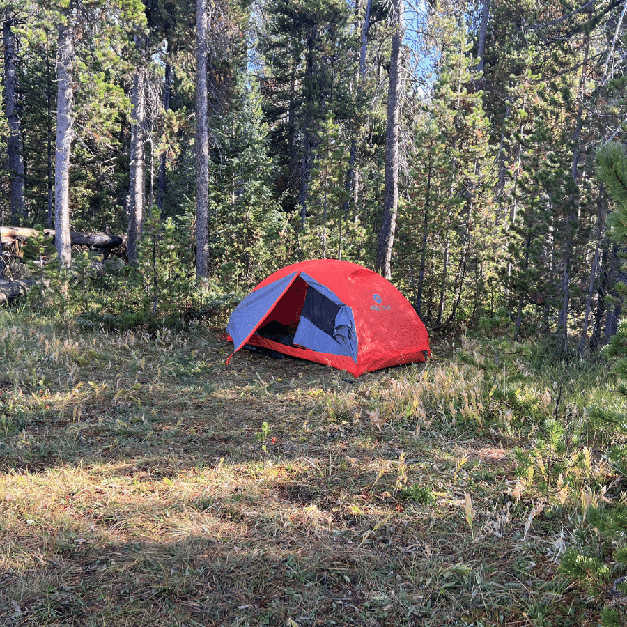 Backcountry camping (yellowstone lodging)