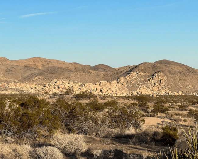 5 Must-Do Hikes in Joshua Tree National Park