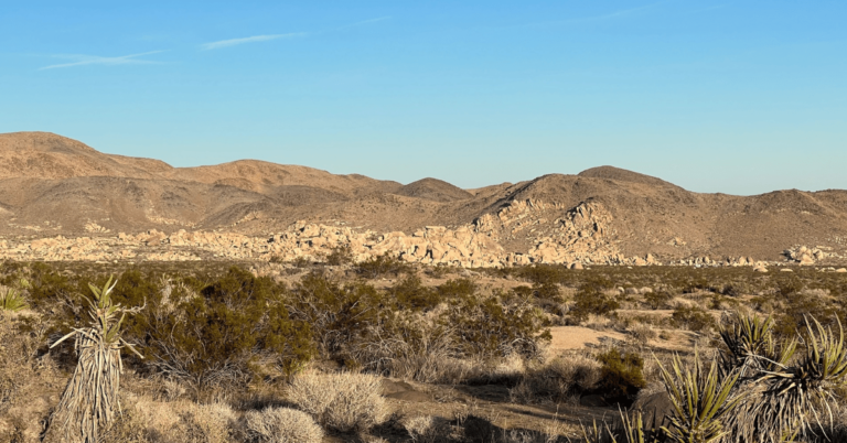 Joshua Tree National Park backcountry area. Part of the best hikes in Joshua Tree National Park