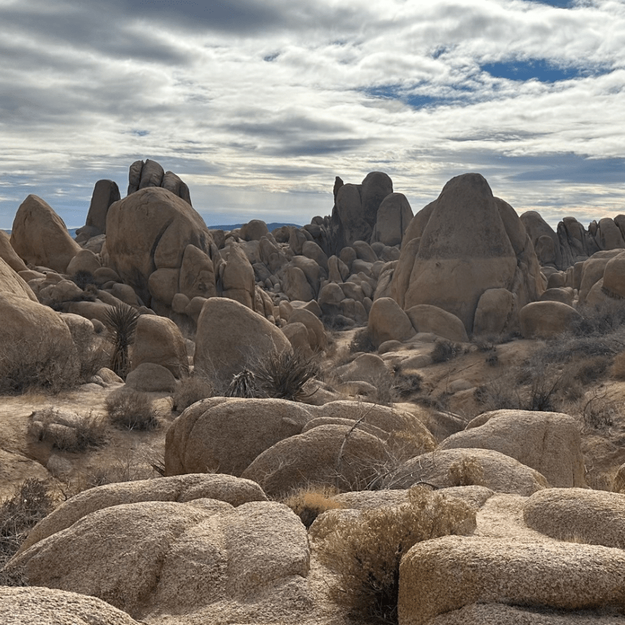 Rocks in Joshua Tree National Park