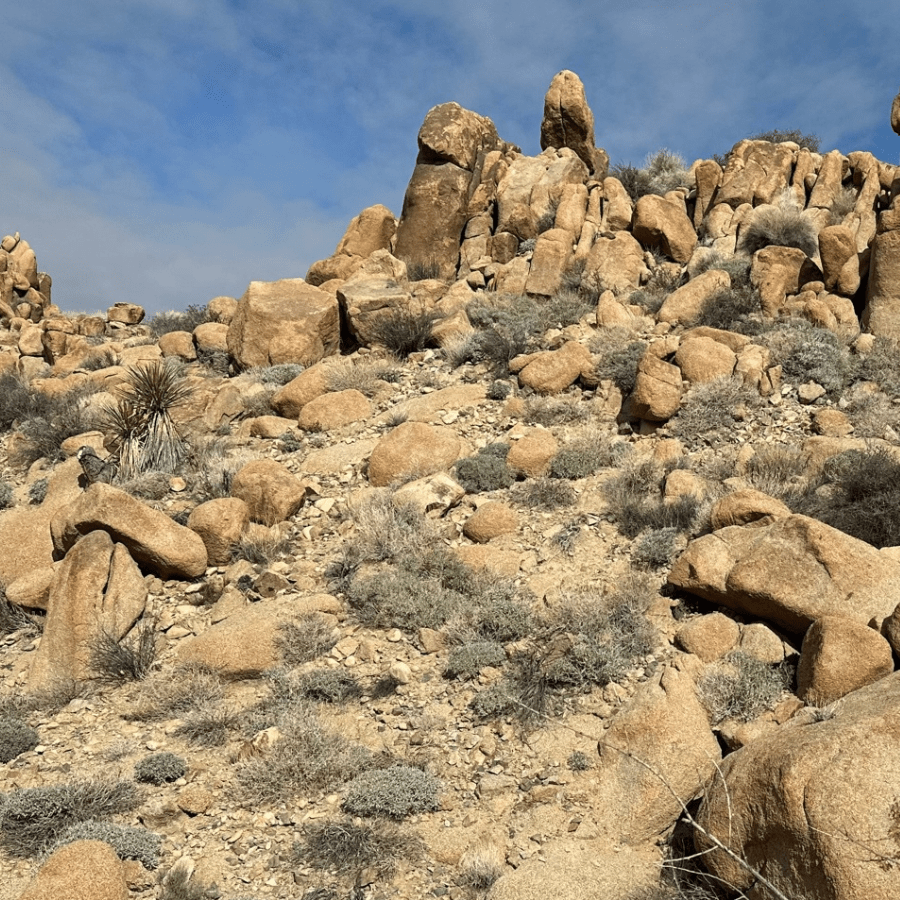 Joshua Tree National Park Rocks