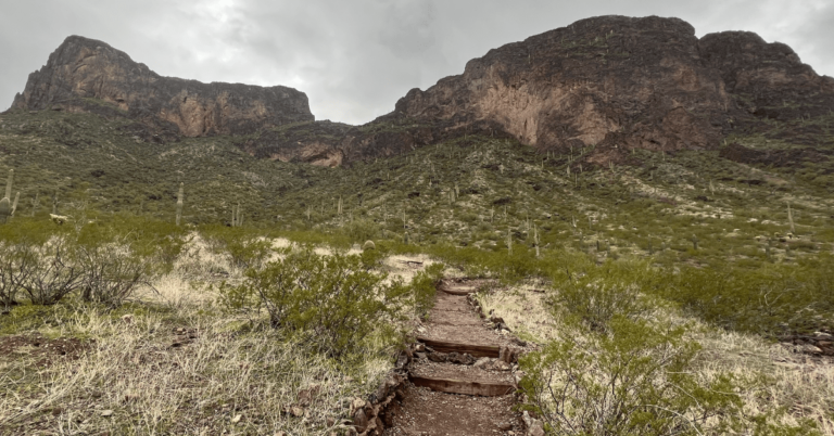 Trail head at Picacho Peak