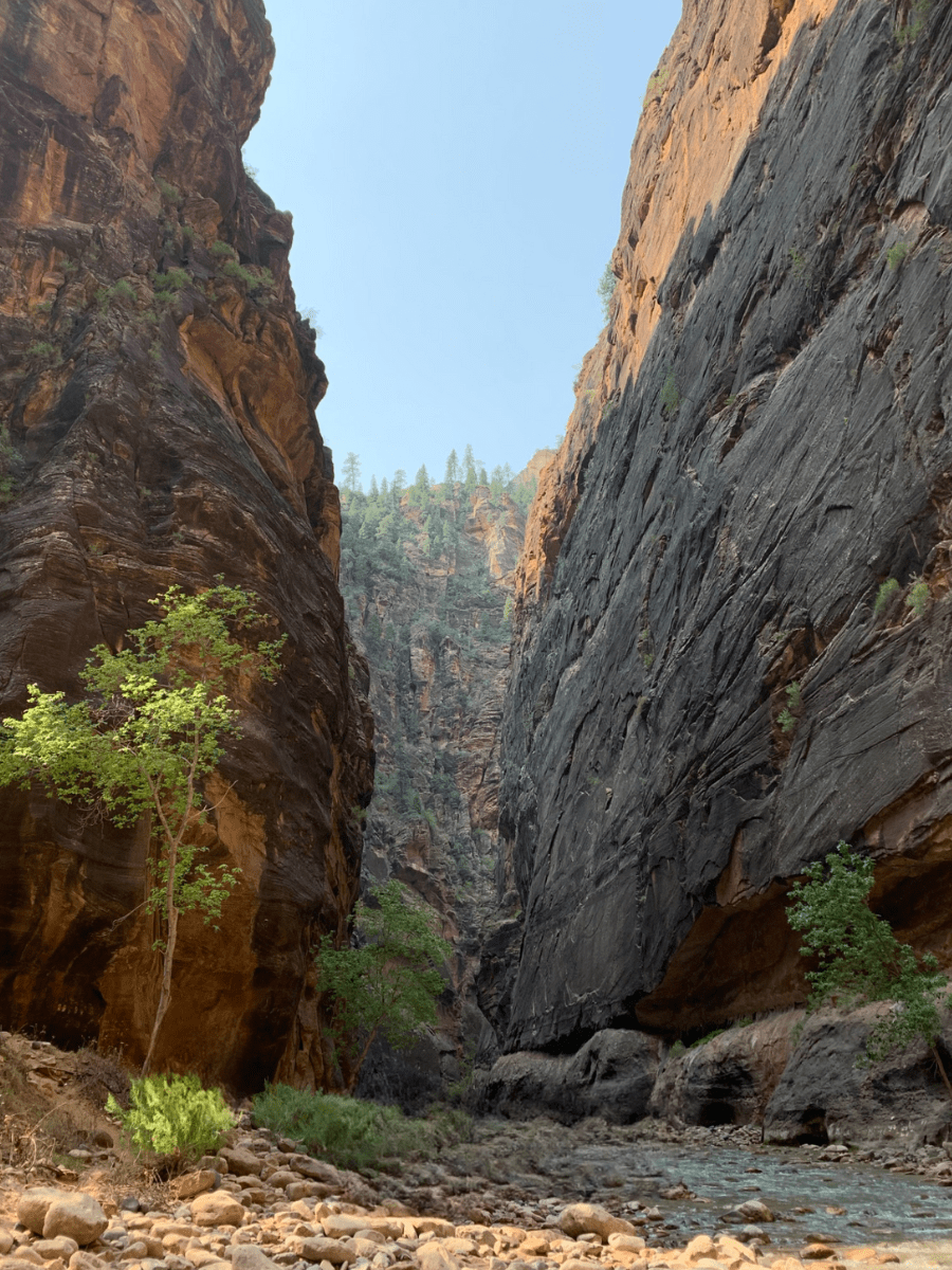 Canyon wall in the Narrows at Zion National Park