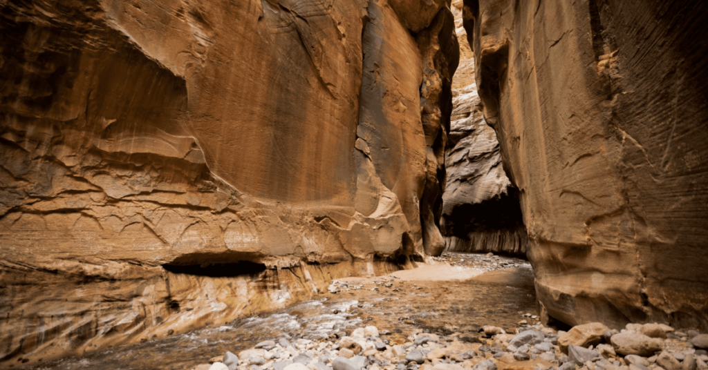 The Narrows Hike at Zion National Park