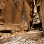 The Narrows Hike at Zion National Park