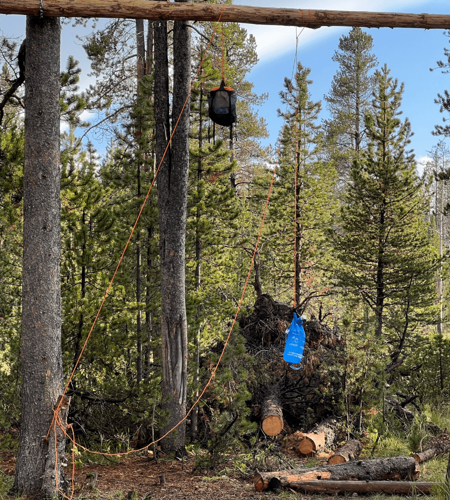 Bear hang with food sack and water filtration from Yellowstone Packing List