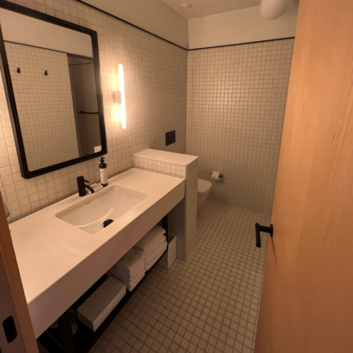 reykjavik edition review -  bathroom 1