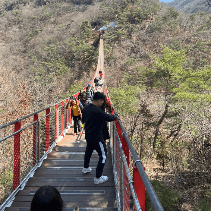 Suspension Bridge in South Korea with many people on it.