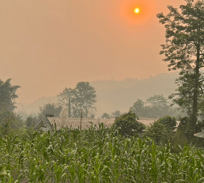The Pavilions Himalayas view looking from the room to the gardens