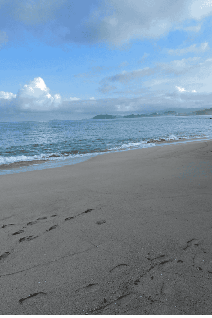 A beachgoer strolls on the shore, holding a surfboard, as the ocean waves roll in beside them.