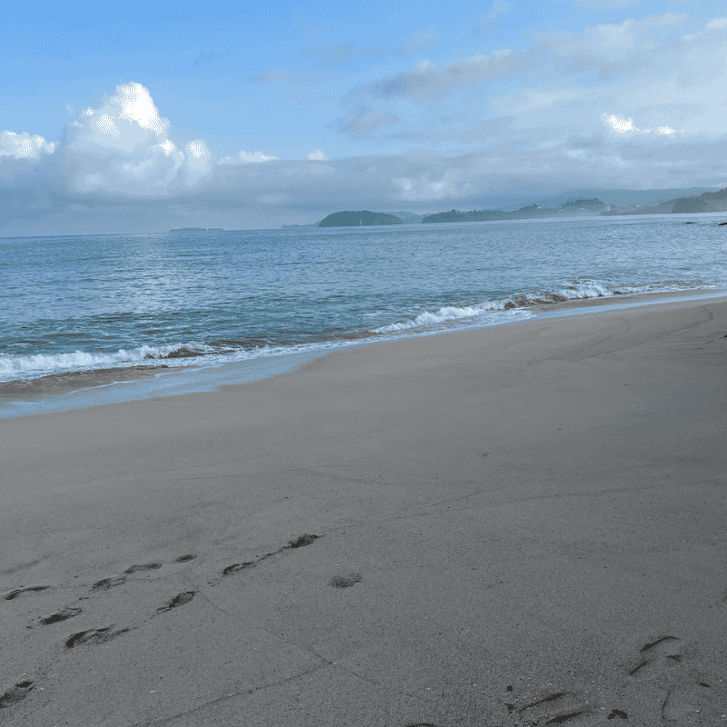 A beachgoer strolls on the shore, holding a surfboard, as the ocean waves roll in beside them.