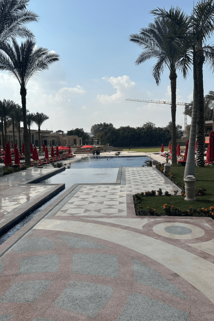 pool with palm tress surrounding it