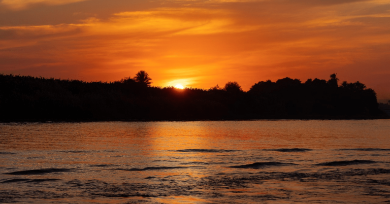 A Spectacular View of the Nile: St Regis Cairo Review